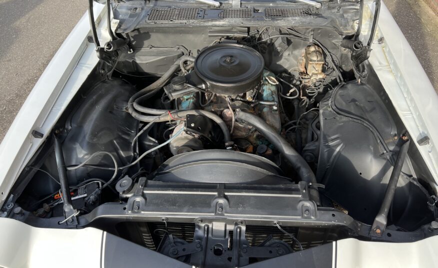 Chevrolet Camaro “Haaiebek“ 1970 V8 AUT
