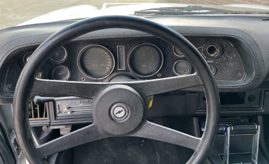 Chevrolet Camaro “Haaiebek“ 1970 V8 AUT