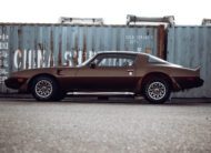 Pontiac Firebird Trans Am TARGA 1980 V8 6.6