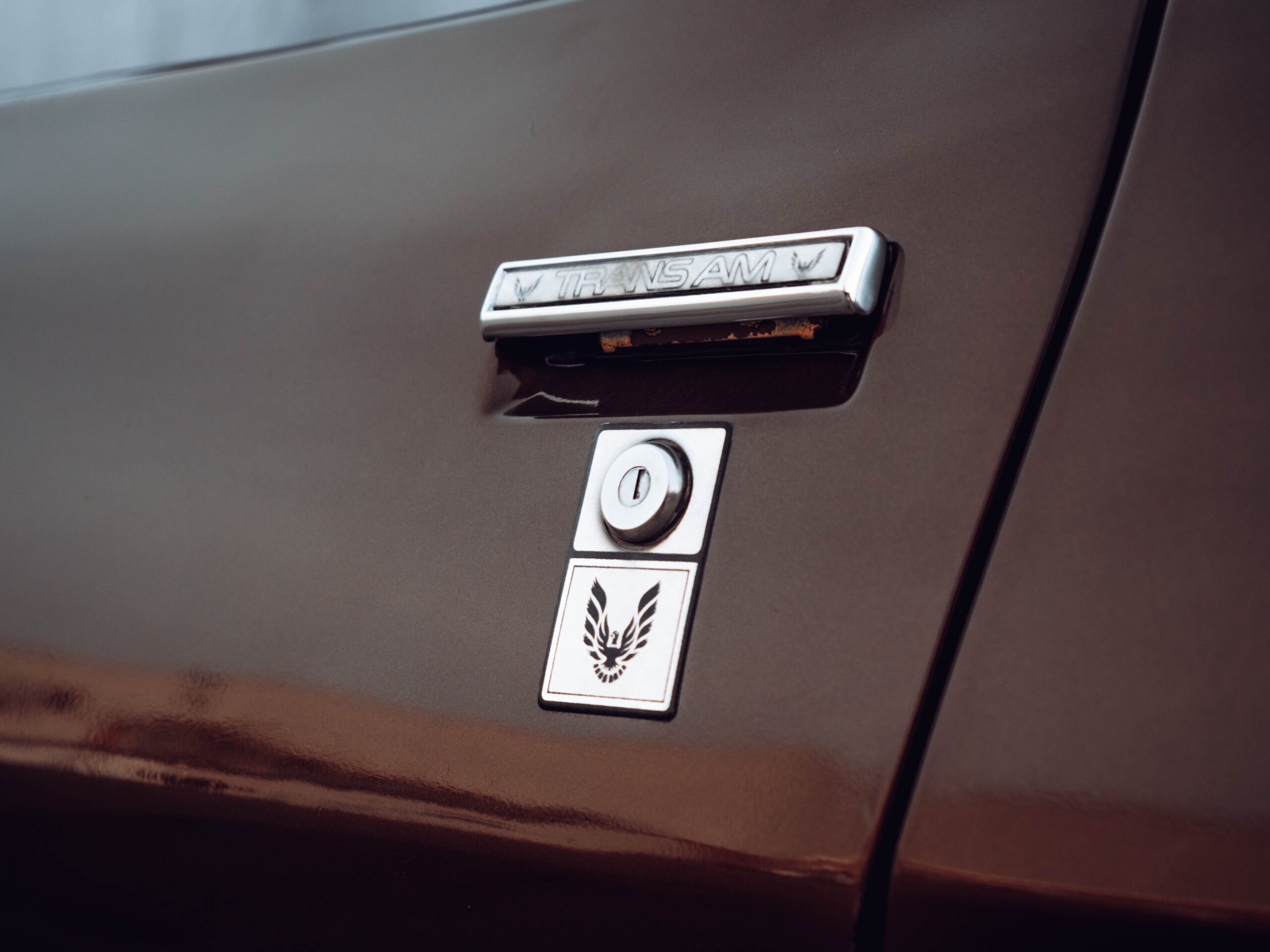 Pontiac Firebird Trans Am TARGA 1980 V8 6.6