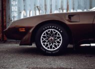 Pontiac Firebird Trans Am TARGA 1980 V8 6.6