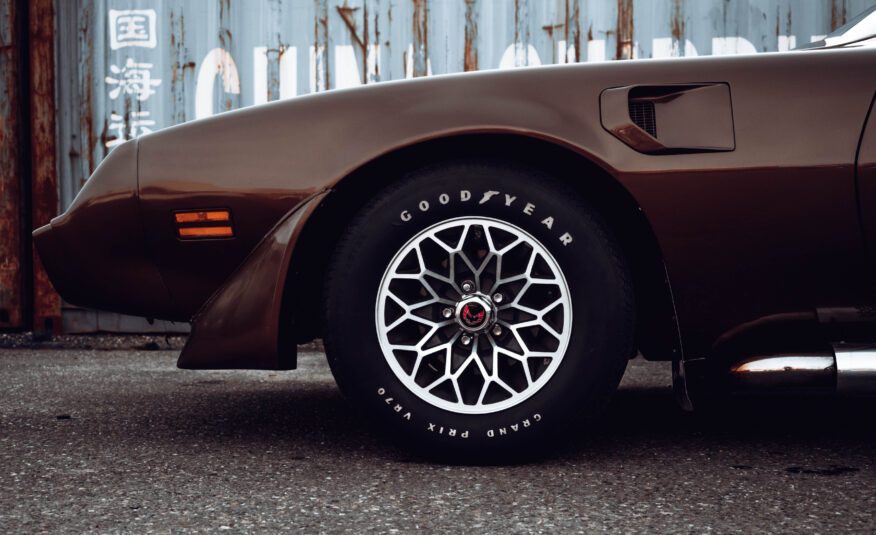 Pontiac Firebird Trans Am TARGA 1980 V8 6.6