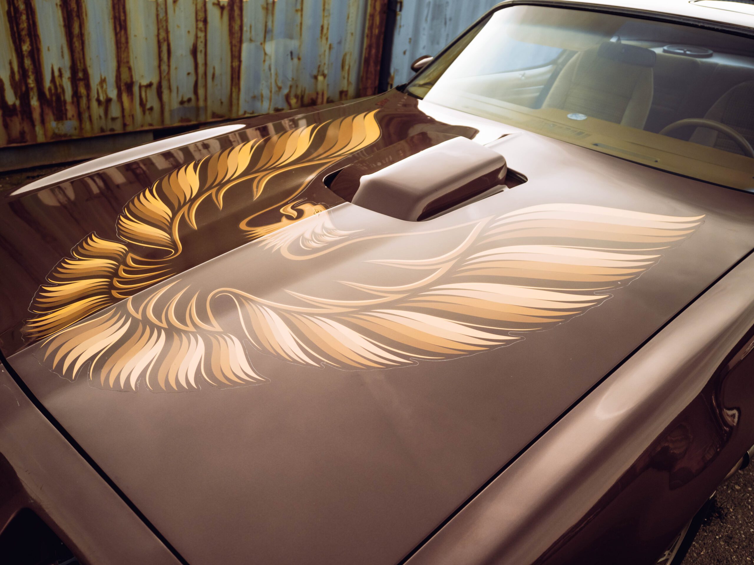 Pontiac Firebird Trans Am TARGA 1980 V8 6.6