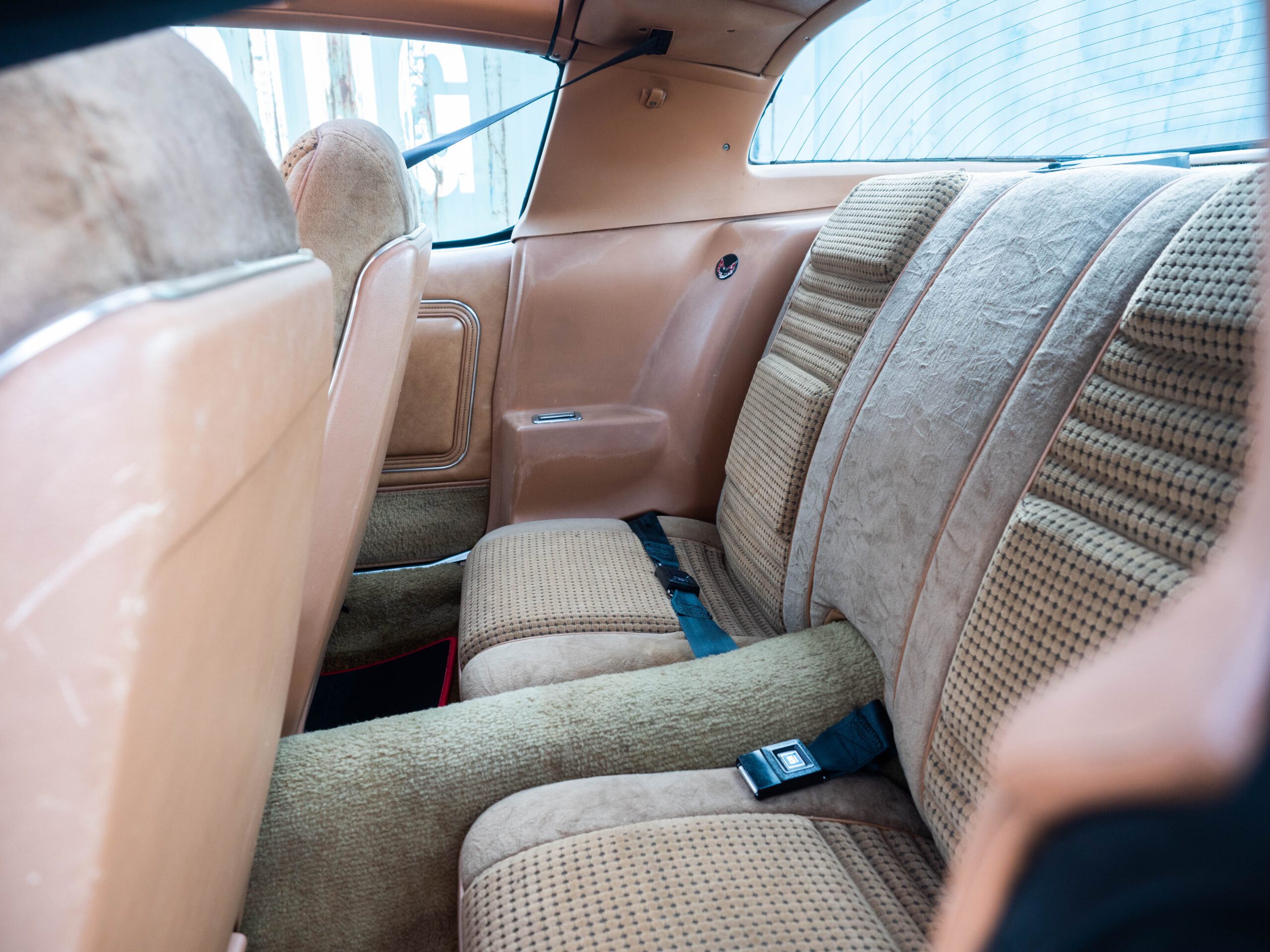 Pontiac Firebird Trans Am TARGA 1980 V8 6.6