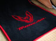 Pontiac Firebird Trans Am TARGA 1980 V8 6.6