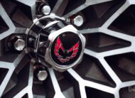 Pontiac Firebird Trans Am TARGA 1980 V8 6.6