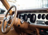 Pontiac Firebird Trans Am TARGA 1980 V8 6.6