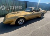 Pontiac Firebird Trans Am Targa 1982