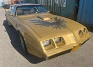 Pontiac Firebird Trans Am Targa 1982