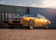 Pontiac Firebird Trans Am Targa 1982