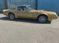 Pontiac Firebird Trans Am Targa 1982