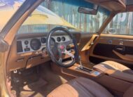 Pontiac Firebird Trans Am Targa 1982