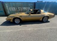 Pontiac Firebird Trans Am Targa 1982