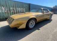 Pontiac Firebird Trans Am Targa 1982
