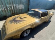 Pontiac Firebird Trans Am Targa 1982
