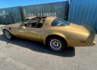 Pontiac Firebird Trans Am Targa 1982