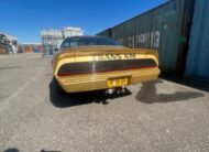 Pontiac Firebird Trans Am Targa 1982