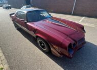 Chevrolet Camaro Z 28 TARGA