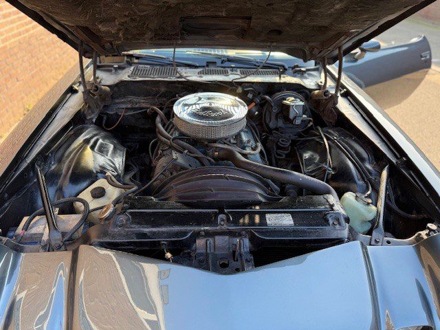 Chevrolet Camaro TARGA 1981 Gun metall grey gespoten