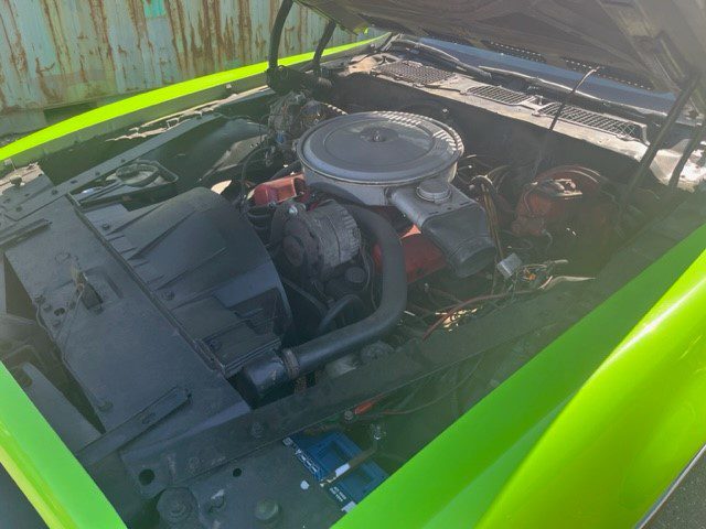 Pontiac Firebird 1974 V8 350 AUT LPG