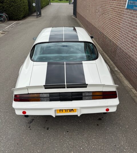 Chevrolet Camaro 1981 V8 Wilt AUT