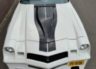Chevrolet Camaro 1981 V8 Wilt AUT