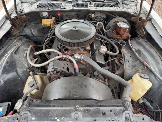 Chevrolet Camaro 1981 V8 Wilt AUT