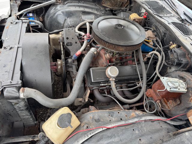 Chevrolet Camaro 1981 V8 Wilt AUT