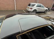 Pontiac Trans Am 1978 Smokey and the Bandit kopie 6.6 liter HURST