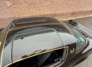 Pontiac Trans Am 1978 Smokey and the Bandit kopie 6.6 liter HURST