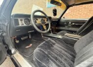 Pontiac Trans Am 1978 Smokey and the Bandit kopie 6.6 liter HURST