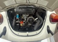 VW Kever Cabrio 1977 Geheel nieuw triple white