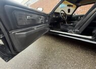 Pontiac Trans Am 1978 Smokey and the Bandit kopie 6.6 liter HURST