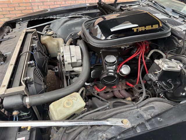 Pontiac Trans Am 1978 Smokey and the Bandit kopie 6.6 liter HURST