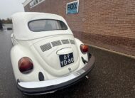 VW Kever Cabrio 1977 Geheel nieuw triple white