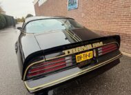 Pontiac Trans Am 1978 Smokey and the Bandit kopie 6.6 liter HURST