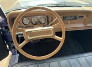 Jeep Wagoneer 1980 LPG