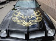 Pontiac Firebird 1976 LPG AUT