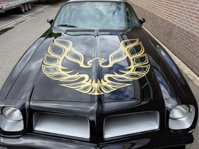 Pontiac Firebird 1976 LPG AUT