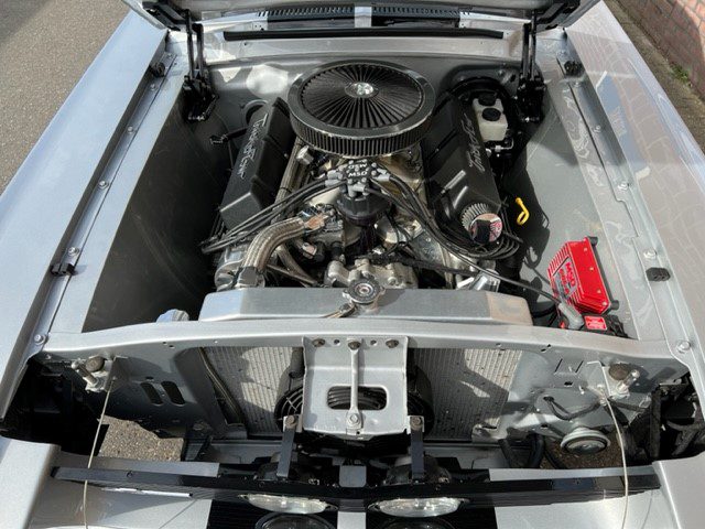 Ford Mustang Fastback Eleanor 1967 NIEUW GT 500